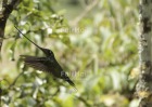 Photo PJGE-0105