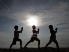 Photo PJAE-0353