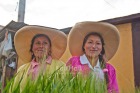 Photo PMRA-0773