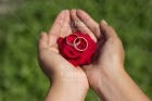 Photo PKAD-0846