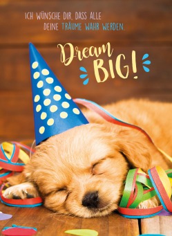 Fair Trade Photo Greeting Card Activity, Animals, Birthday, Celebrating, Clothing, Colour image, Colourful, Confetti, Cute, Dog, Hat, Lying, Multi-coloured, New Year, Peru, Puppy, Sleeping, Sorry, South America, Vertical