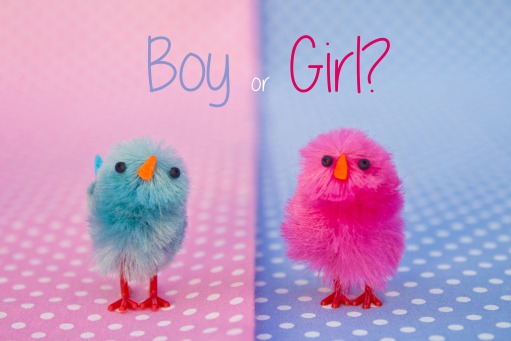 Fair Trade Photo Greeting Card Birth, Blue, Boy, Chicken, Colour image, Girl, Horizontal, New baby, People, Peru, Pink, South America