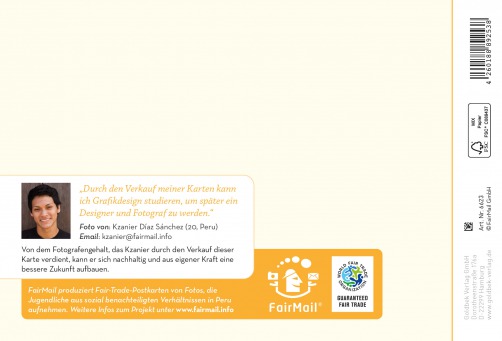 Fair Trade Photo Greeting Card Blue, Christmas, Colour image, Horizontal, Indoor, Light, Paper, Peru, Seasons, South America, Star, Tree, White, Winter Backside