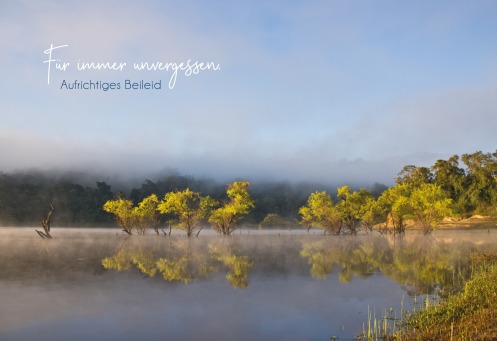 Fair Trade Photo Greeting Card Chachapoyas, Colour image, Fog, Horizontal, Lake, Landscape, Nature, Peru, Reflection, South America, Sunrise, Tree, Water