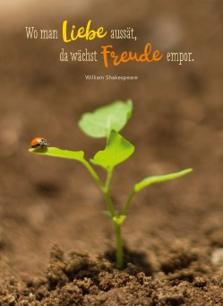 Fair Trade Photo Greeting Card Bio, Birth, Birthday, Body, Bud, Care, Change, Climate, Colour, Colour image, Congratulations, Earth, Eco-friendly, Environment, Fresh, Friendship, Future, Get well soon, Globe, Green, Ground, Grow, Growing, Growth, Hand, Land, Life, Mothers day, Nature, New beginning, Object, Peru, Place, Planet, Plant, Pollution, Power, Protection, Resilience, Resilient, Sorry, South America, Strength, Success, Thank you, Thinking of you, Transformation, Vertical, Water, Well done, World