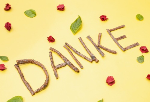 Fair Trade Photo Greeting Card Flower, Flowers, Friendship, Gratitude, Nature, Peru, South America, Thank you, Thinking of you, Yellow