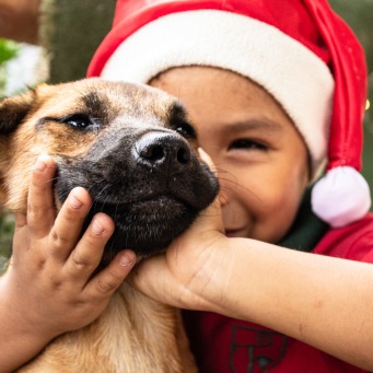 Fair Trade Photo Greeting Card Child, Christmas, Christmas hat, Dog, Peru, Puppy, Smile