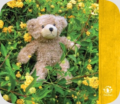 Fair Trade Photo Greeting Card Animals, Baby, Bear, Birth, Birthday, Caring, Colour image, Cute, Day, Flower, Friendship, Funny, Garden, Green, Nature, Outdoor, Peru, Seasons, South America, Summer, Teddybear, Vertical, Yellow, Youth