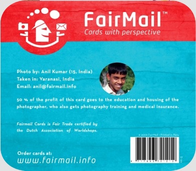 Fair Trade Photo Greeting Card Activity, Animals, Asia, Black, Buffalo, Colour image, Cow, Cute, Day, Friendship, Funny, Horizontal, India, Looking at camera, Outdoor, Streetlife Backside