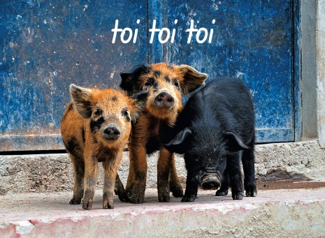 Fair Trade Photo Greeting Card Animals, Friendship, Pig, Together