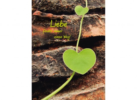 Fair Trade Photo Greeting Card Asia, Colour image, Focus on foreground, Green, Heart, Horizontal, India, Love, Nature, Outdoor, Plant, Valentines day