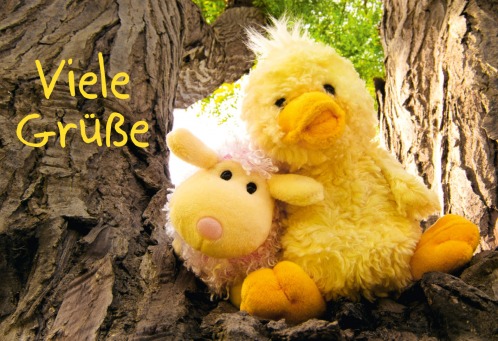 Fair Trade Photo Greeting Card Animals, Colour image, Cute, Day, Duck, Friendship, Funny, Horizontal, Love, Low angle view, Nature, Outdoor, Peru, Sheep, South America, Teddybear, Together, Tree