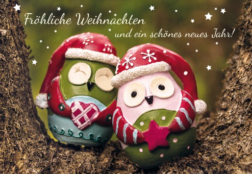 Fair Trade Photo Greeting Card Christmas, Colour image, Friendship, Owl, Peru, South America, Together, Tree