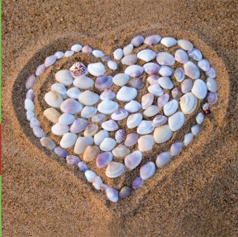 Fair Trade Photo Greeting Card Asia, Beach, Closeup, Colour image, Heart, Horizontal, India, Love, Sand, Shell, Summer, Valentines day