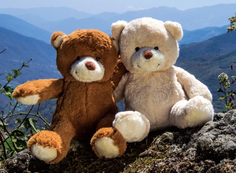 Fair Trade Photo Greeting Card Activity, Colour image, Cute, Day, Friendship, Hugging, Love, Outdoor, Peru, Scenic, South America, Teddybear, Together