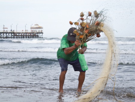 Fair Trade Photo Greeting Card Activity, Cleaning, Colour image, Fisheries, Horizontal, Peru, South America