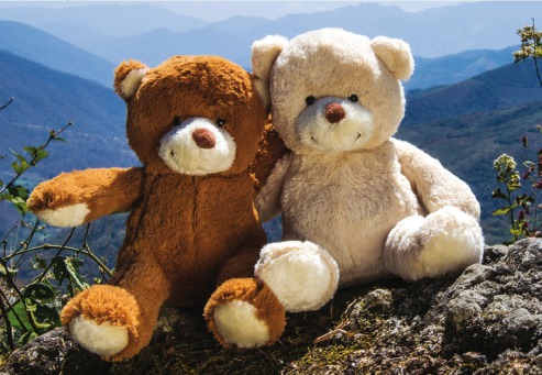 Fair Trade Photo Greeting Card Activity, Colour image, Cute, Day, Friendship, Hugging, Love, Outdoor, Peru, Scenic, South America, Teddybear, Together