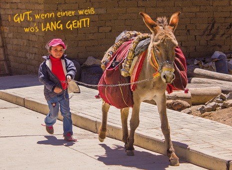 Fair Trade Photo Greeting Card 5_-10_years, Activity, Agriculture, Animals, Dailylife, Donkey, Horizontal, Latin, One boy, People, Peru, Portrait fullbody, Rural, Smiling, South America, Streetlife, Walking