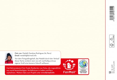 Fair Trade Photo Greeting Card Box, Christmas, Colour image, Danboard, Gift, Horizontal, Peru, South America, Tree Backside