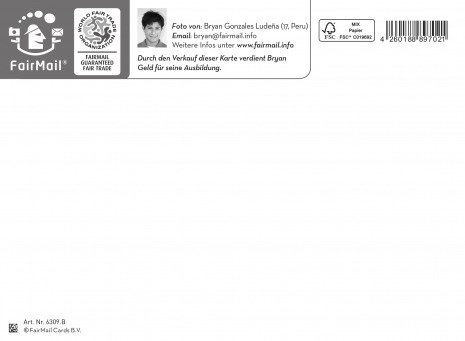 Fair Trade Photo Greeting Card Colour image, Daisy, Danboard, Flower, Friendship, Horizontal, Love, Sorry, Valentines day Backside