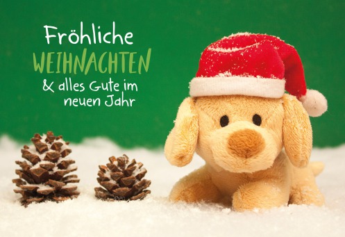 Fair Trade Photo Greeting Card Animals, Christmas, Colour image, Dog, Hat, Horizontal, Peru, Puppy, Snow, South America