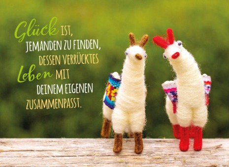 Fair Trade Photo Greeting Card Animals, Colour image, Horizontal, Llama, Love, Marriage, Peru, South America, Together, Valentines day, Wedding