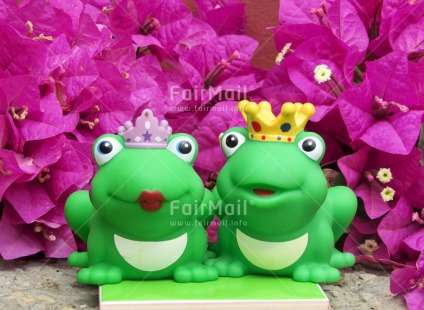 Fair Trade Photo Animals, Couple, Cute, Frog, Love, Marriage, Prince, Princess, Together, Wedding