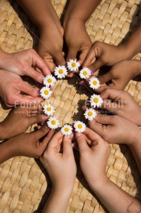 Fair Trade Photo Birthday, Circle, Colour image, Cooperation, Daisy, Flower, Friendship, Hand, Peru, Round, South America, Vertical