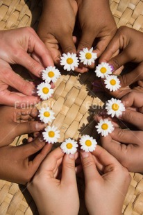 Fair Trade Photo Birthday, Circle, Colour image, Cooperation, Daisy, Flower, Friendship, Hand, Peru, Round, South America, Vertical