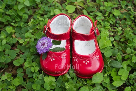 Fair Trade Photo Birth, Closeup, Colour image, Girl, Green, Horizontal, Leaf, New baby, People, Peru, Red, Shoe, Shooting style, South America