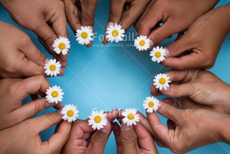 Fair Trade Photo Circle, Colour image, Cooperation, Daisy, Flower, Friendship, Hand, Horizontal, Peru, South America, Together, White, Yellow, Zero