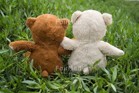 Fair Trade Photo Colour image, Friendship, Grass, Horizontal, Outdoor, Teddybear, Together