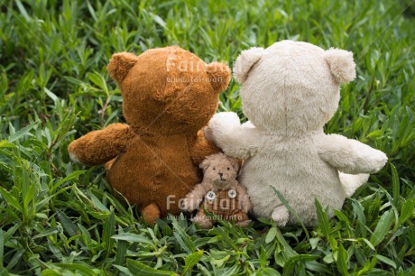 Fair Trade Photo Birth, Colour image, Cute, Family, Grass, Horizontal, New baby, Outdoor, Teddybear