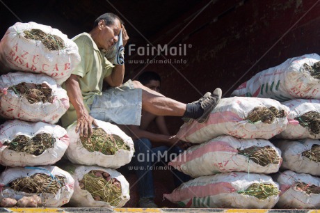 Fair Trade Photo Activity, Agriculture, Colour image, Fair trade, Food and alimentation, Horizontal, Market, One man, People, Working