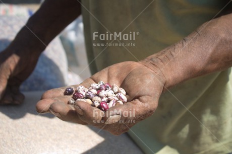 Fair Trade Photo Bean, Closeup, Colour image, Hand, Horizontal, Shooting style