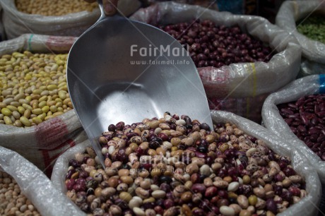 Fair Trade Photo Bean, Colour image, Food and alimentation, Horizontal