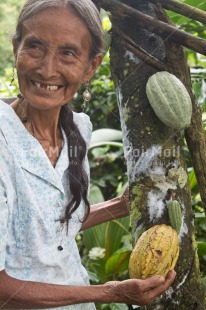 Fair Trade Photo Activity, Agriculture, Cacao, Chocolate, Colour image, Fair trade, Farmer, Looking away, Old age, One woman, People, Peru, Portrait halfbody, Rural, Smiling, South America, Tree, Vertical