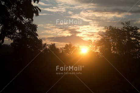 Fair Trade Photo Colour image, Condolence-Sympathy, Evening, Forest, Horizontal, Light, Outdoor, Sunset