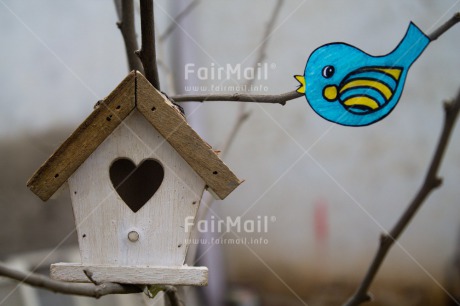 Fair Trade Photo Animals, Bird, Colour image, Heart, Horizontal, House, Love, New home