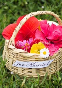 Fair Trade Photo Flower, Letter, Marriage, Peru, Seasons, South America, Summer, Vertical, Wedding