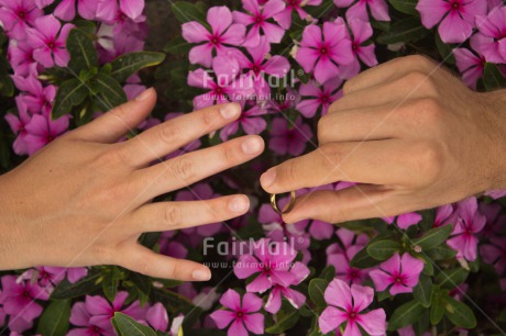 Fair Trade Photo Closeup, Colour image, Hand, Horizontal, Love, Marriage, Peru, Ring, Shooting style, South America, Wedding