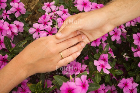 Fair Trade Photo Closeup, Colour image, Hand, Horizontal, Love, Marriage, Peru, Ring, Shooting style, South America, Wedding