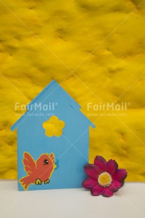 Fair Trade Photo Birdhouse, Colour image, Flower, House, New home, Peru, South America, Vertical