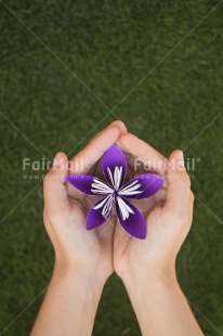 Fair Trade Photo Colour image, Condolence-Sympathy, Flower, Friendship, Mothers day, Peru, South America, Vertical