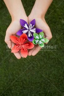 Fair Trade Photo Colour image, Condolence-Sympathy, Flower, Friendship, Mothers day, Peru, South America, Vertical