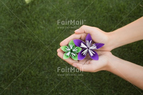 Fair Trade Photo Colour image, Condolence-Sympathy, Flower, Friendship, Horizontal, Mothers day, Peru, South America