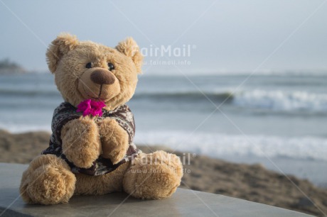 Fair Trade Photo Beach, Colour image, Flower, Horizontal, Love, Peru, Sea, Sorry, South America, Teddybear, Thank you, Valentines day