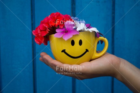 Fair Trade Photo Activity, Colour image, Cup, Flower, Friendship, Giving, Hand, Horizontal, Mothers day, Peru, Smile, South America, Thank you