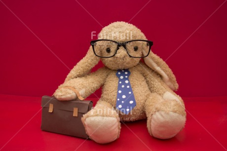Fair Trade Photo Animals, Funny, Glasses, New Job, Rabbit, Suitcase, Tie