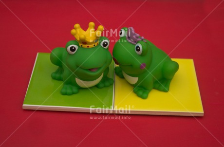 Fair Trade Photo Animals, Cute, Frog, Love, Marriage, Prince, Princess, Together, Wedding